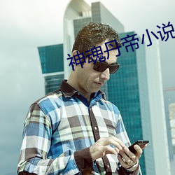 神魂丹(丹)帝小说