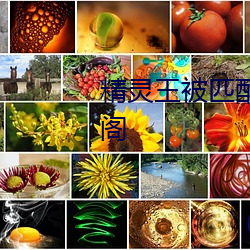 精灵(靈)王被匹配给帝国元(元)帅后(後)笔(筆)趣阁(閣)