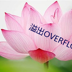 溢出OVERFLOW2未增刪帶