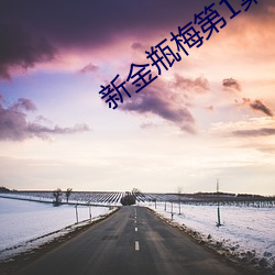新金瓶梅第1集