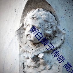 新白娘(娘)子传奇(奇) 高清