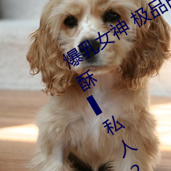 爆乳女神 极(j¨ª)品白皙(xī)爆乳蜜穴(xu¨¦)女神¨„麻酥酥¨„私人2888定制款