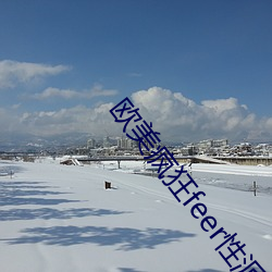 欧美疯狂feer性派(pài)对(duì)
