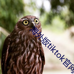 海外版tiktok官网入口 （舍近求远）