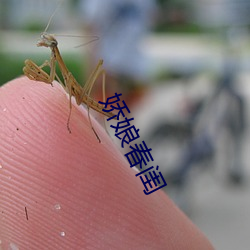 娇娘春闺