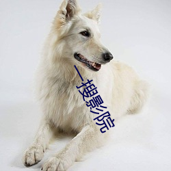 一搜影(影)院