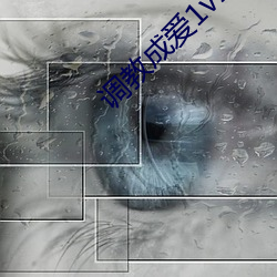 金年会 | 诚信至上金字招牌