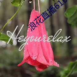 浪花直播616atv下载(載)通道