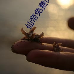 凯时|AG(AsiaGaming)优质运营商