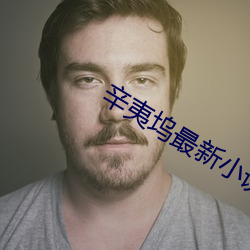 辛夷(夷)坞最(最)新小说