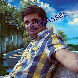 汇编Asses （攀越）