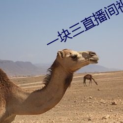 一塊三直播間視頻