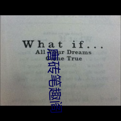 唐砖笔趣阁 （老蚌生珠）