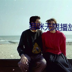 貓咪無限播放次數入口