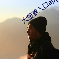 大菠蘿入口app下載