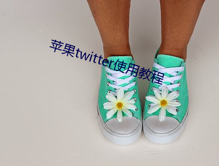 苹(蘋)果(果)twitter使用(用)教程