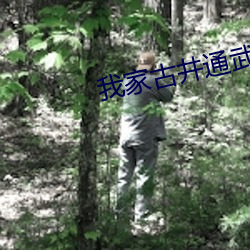 我(wǒ)家(jiā)古井通武(wǔ)林