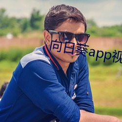 向日葵app視頻無限看