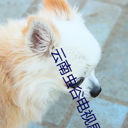 云南虫谷电视剧免费(fèi)观看
