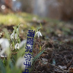请握(握)紧你手(手)中(中)扳手