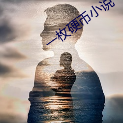 一枚硬幣小說