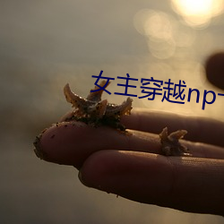 女主穿越np十幾個夫君