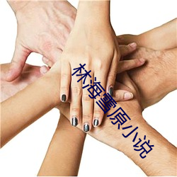 林海雪原小说