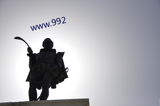 www.992