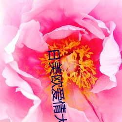 日(rì)美(měi)欧爱情(qíng)大片