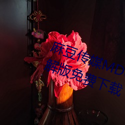 麻豆传媒MD0044林(林)予(予)曦vip会员破解版免费下载(載)