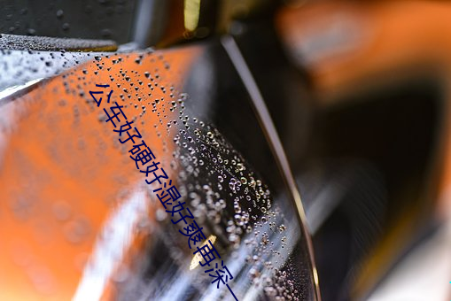 公车好硬好湿好爽再深一点