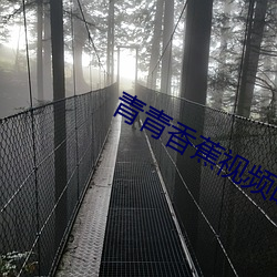 青青香蕉视频时候