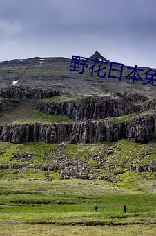 野花(花)日本免(免)费完整(整)版高(高)清版动(動)漫