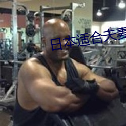 日本适合夫妻看的日混剧