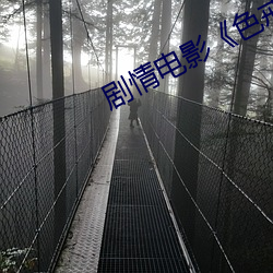 剧情电影《色戒2007