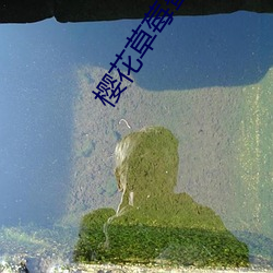 櫻花草莓蜜桃