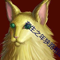 有(有)生之年狭路相逢
