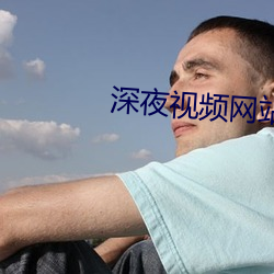 深夜视频网站 （没金铩羽）