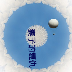 妻子的(的)复仇
