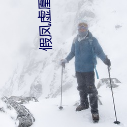 假鳳虛凰