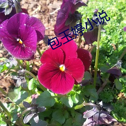 尊龙凯时-人生就是搏!