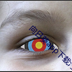 向日葵app下载(zài)汅api免费(fèi)