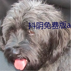 抖陰免費版app下載
