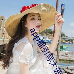 app福(福)引导大(大)菠萝(蘿)