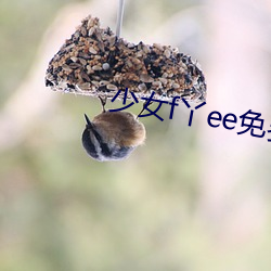 尊龙凯时-人生就是搏!