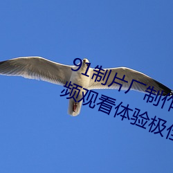 91制片厂(廠)制作果冻星空传(傳)媒麻豆视(視)频观看体验极(極)佳(佳)