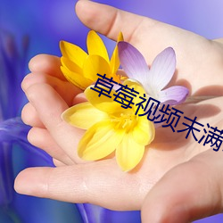 草莓(méi)视频末(mò)满18勿(wù)看(kàn)