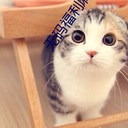无码福利麻豆