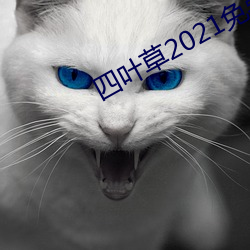 Ҷ2021()()