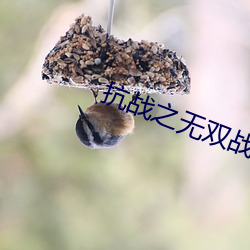 抗战之无双战将 （暮雨朝云）
